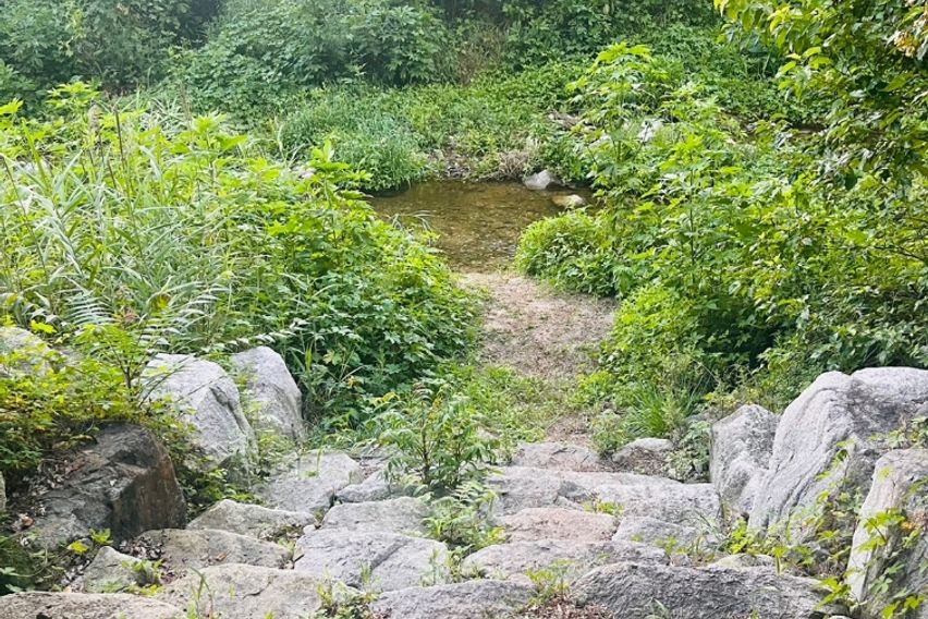 감성숙소 힐링공간 가평