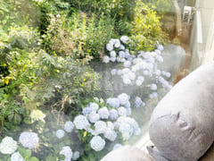 Yeongdo Ocean View Private House #Rest 8th image