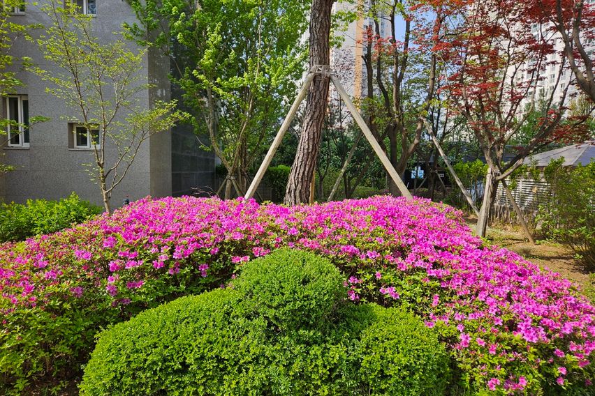 최신축아파트,큰방4개