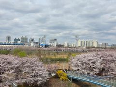 2 minutes from Yangpyeong Station 🩵 New spec 16th image