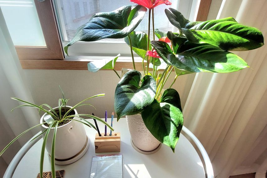 터미널도보3분 짐풀고 0번째 이미지