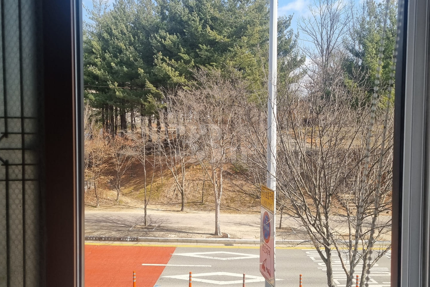 #SunHospital Internship – 1-Minute Walk! 9th image