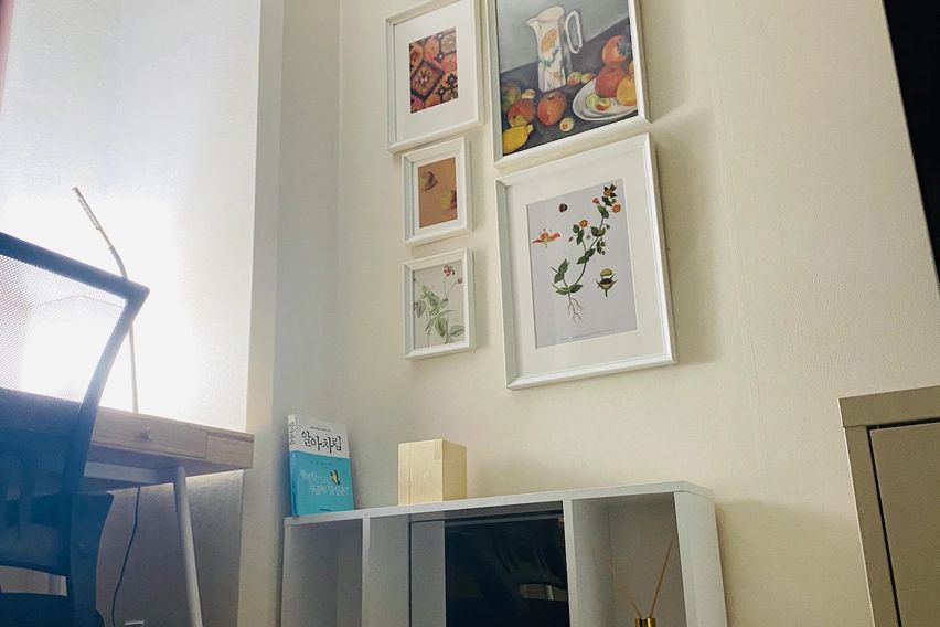 신사 한강 가로수강남 19번째 이미지