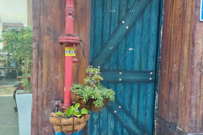 동매(부산바다)3 3번째 이미지