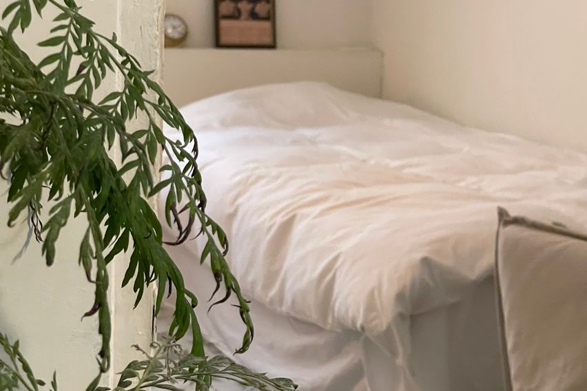 슬리피선데이-독채반려동 12번째 이미지