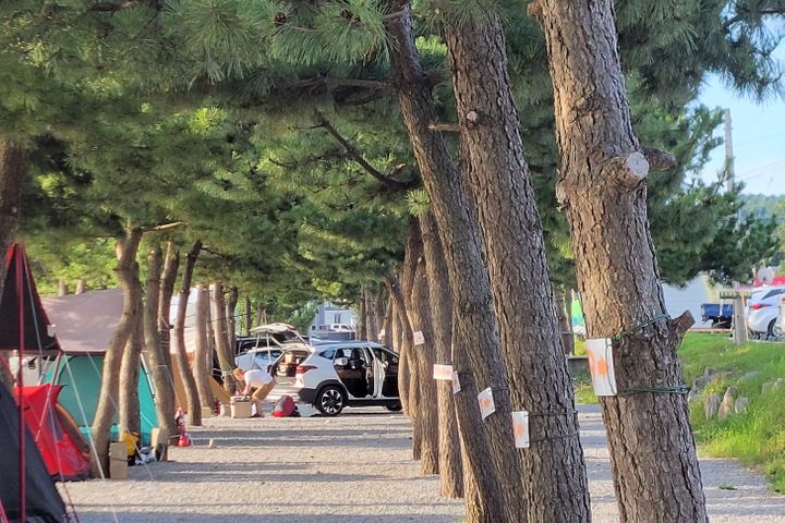 양양해변 호텔형숙소 17번째 이미지