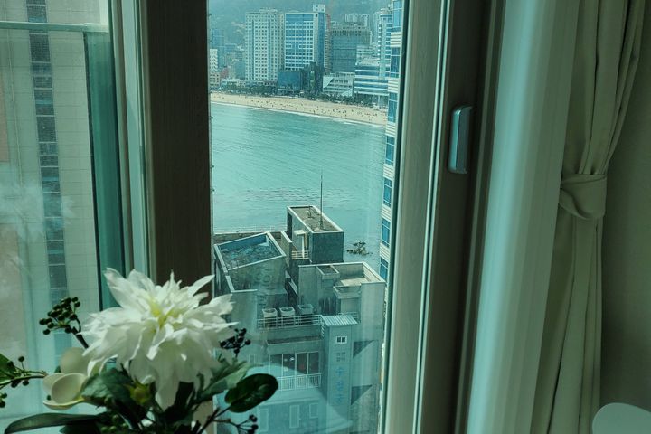 광안리 해링오더  15번째 이미지