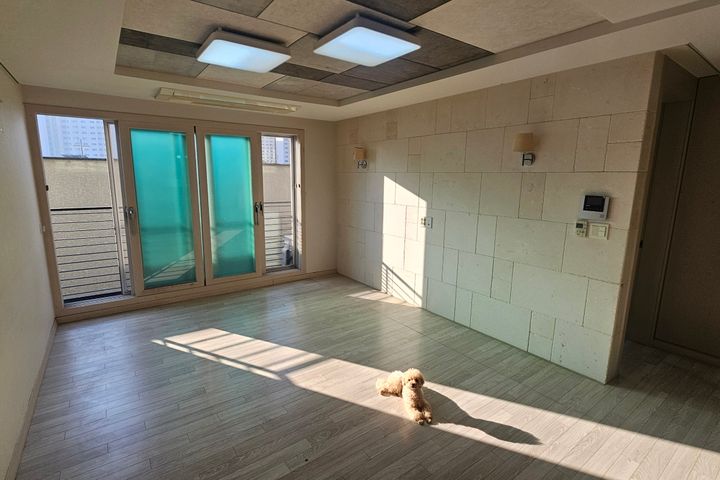 일산 풍동 달맞이공원 10번째 이미지