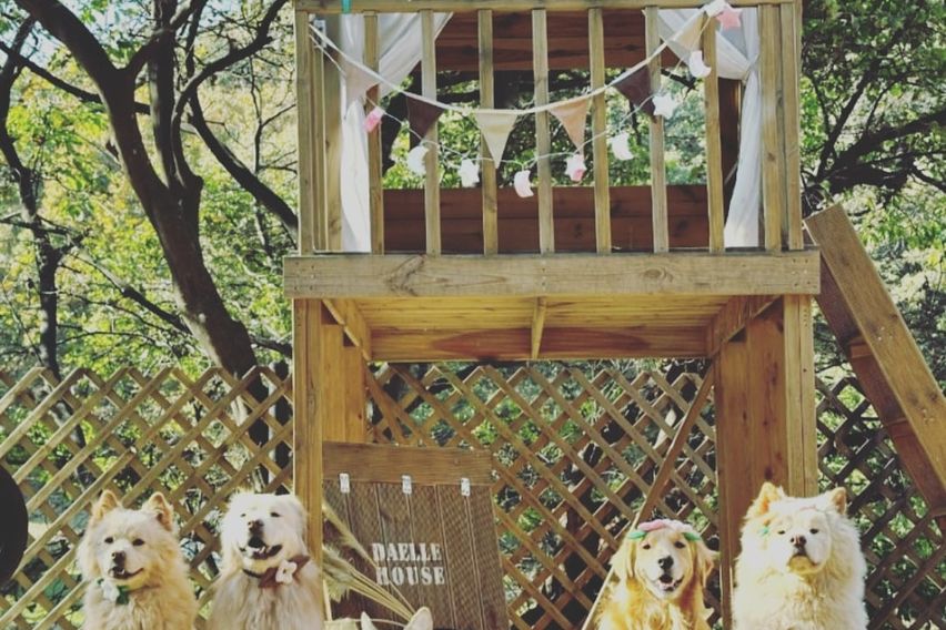 마당있는 독채 공간 10번째 이미지