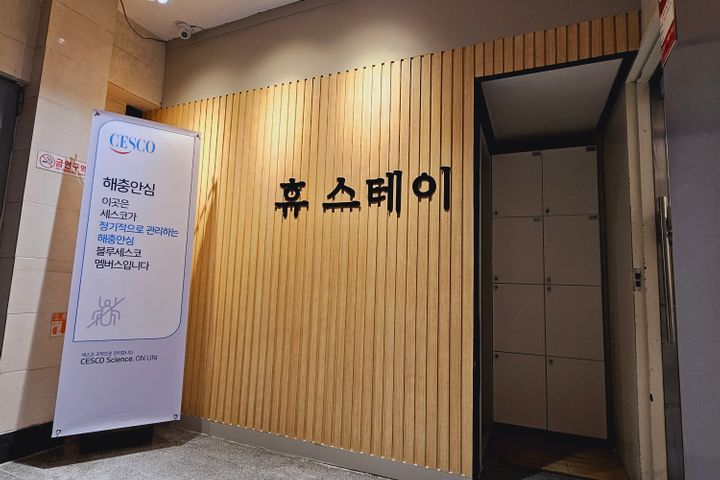 스탠다드A 6번째 이미지