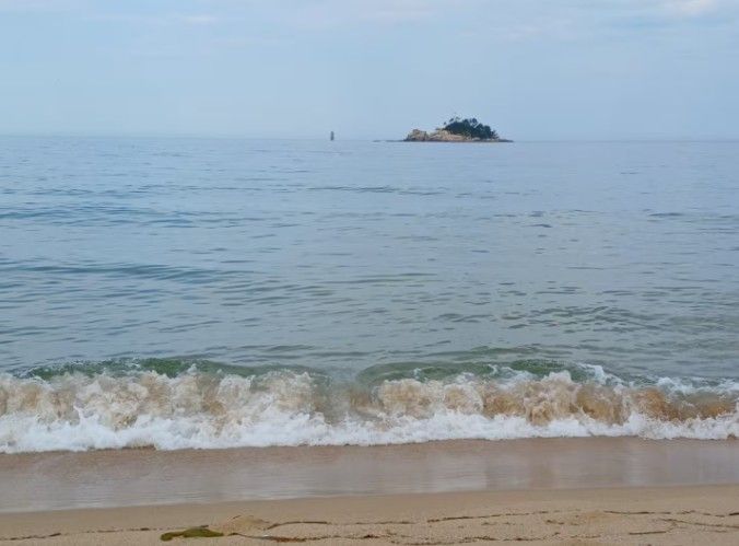 해변과선착장 마당품은집 15번째 이미지