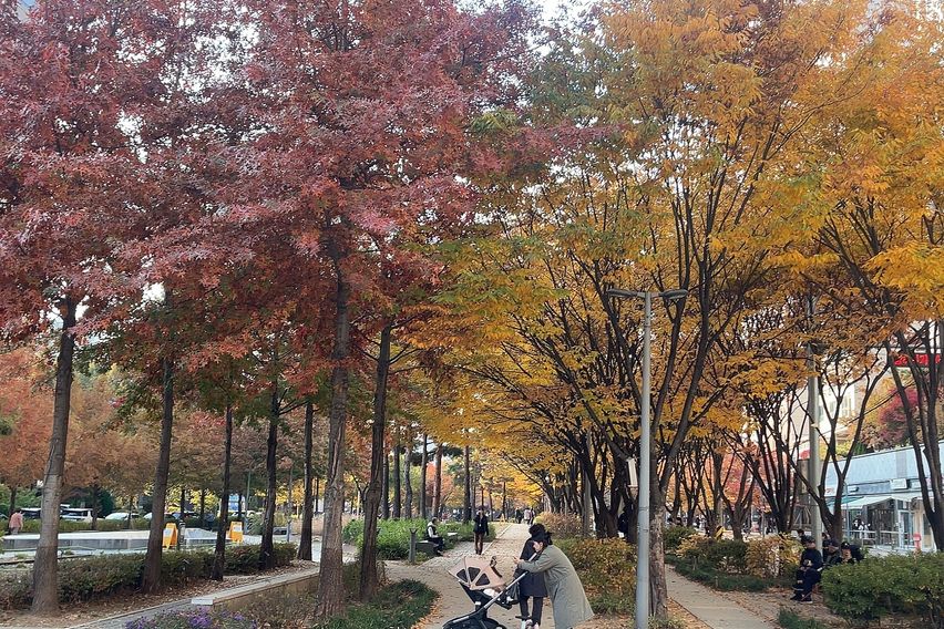 공덕역10초광화문여의도