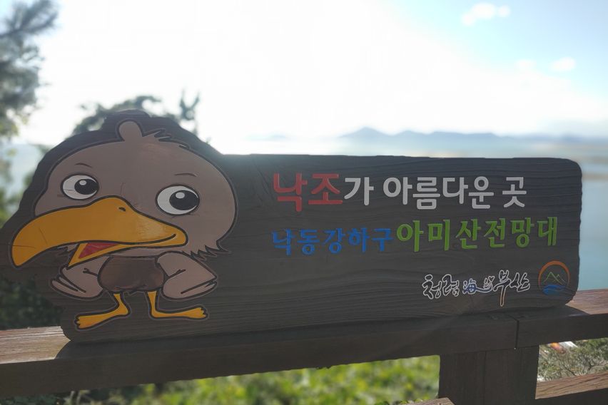 🩷Dadaepo❤️Ocean View Sunset🩷 14th image