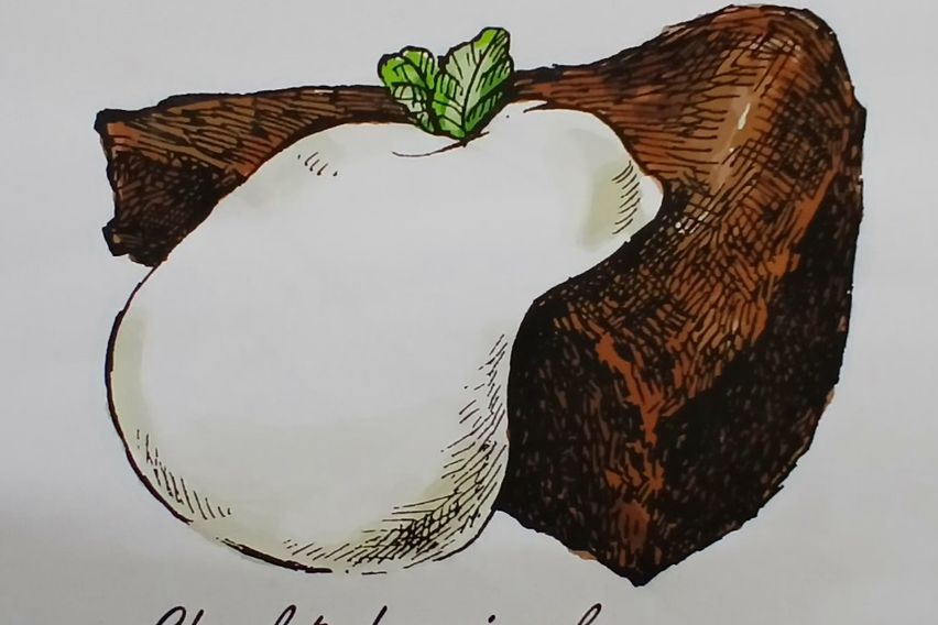 Konyang University, as comfortable as home. 15th image