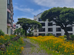 Ocean-view studio in Aewol, Jeju 16th image