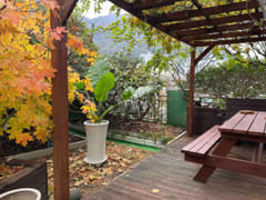 Plant house 19th image