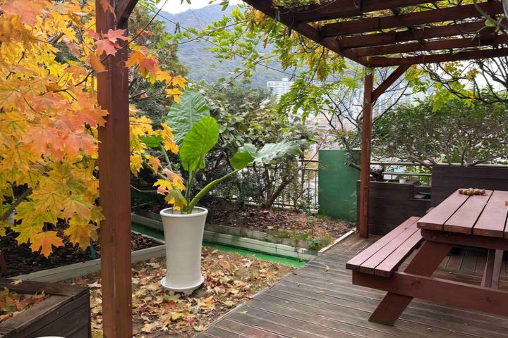 Plant house 19번째 이미지