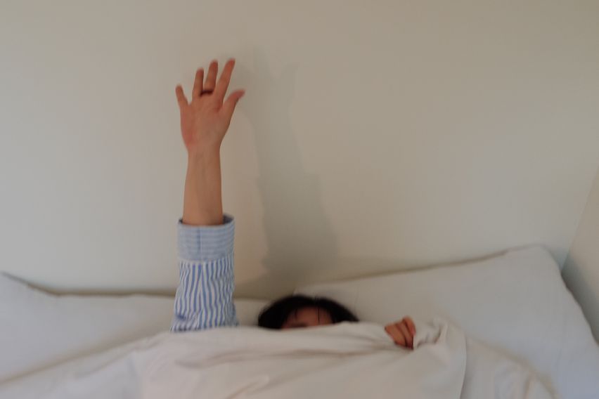 귀여운 투룸🫧반려동물 14번째 이미지