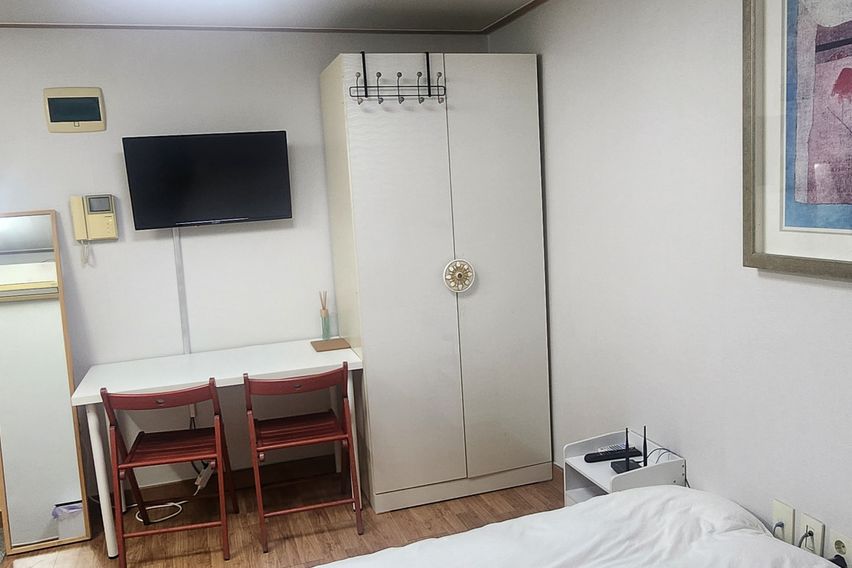 부산갈매기 501 특가