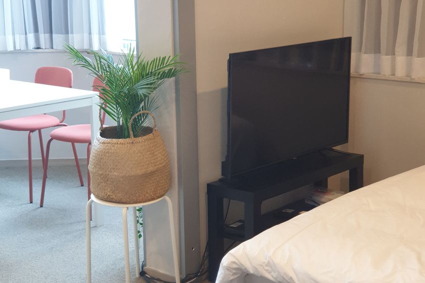 용인트리니호텔더편안3