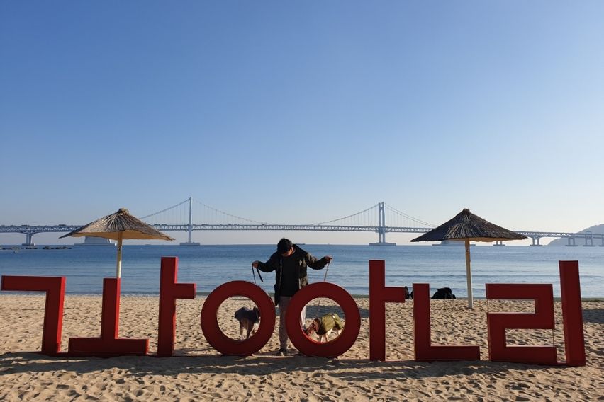 광안리역세권해운대성수기