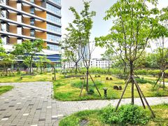 Dongtan Lake Park / Wonderful Lake View 17th image