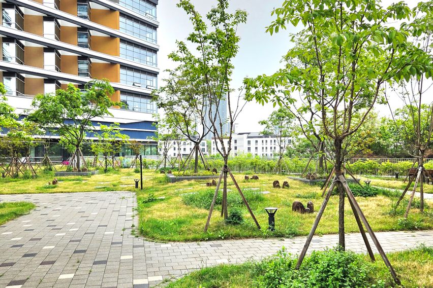 동탄호수공원/멋진호수뷰