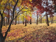 올림픽공원 예쁜원룸 18번째 이미지