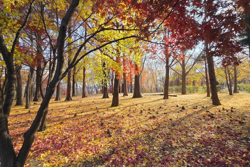 올림픽공원 예쁜원룸 18번째 이미지