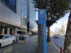 신사 한강 가로수강남 15번째 이미지