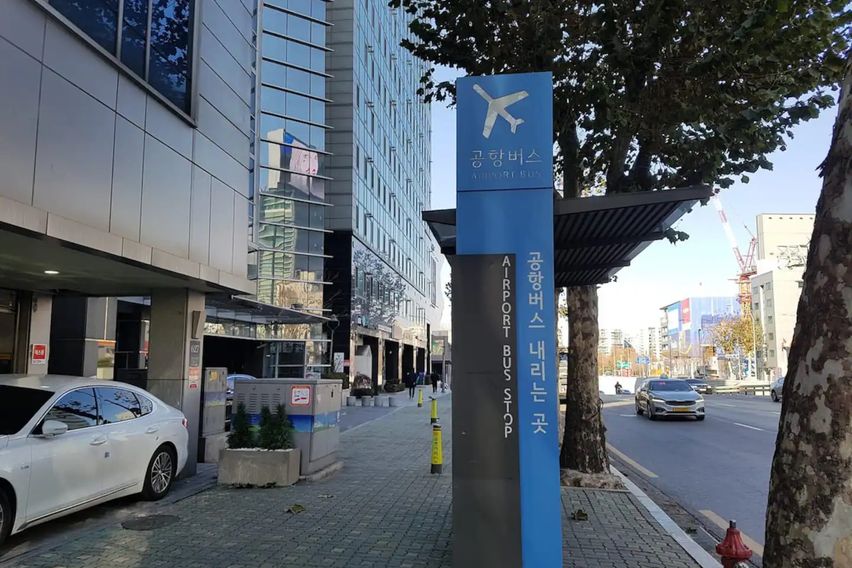 신사 한강 가로수강남 15번째 이미지