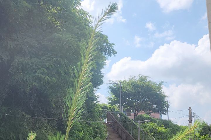 풀옵션 더숨★436 4번째 이미지