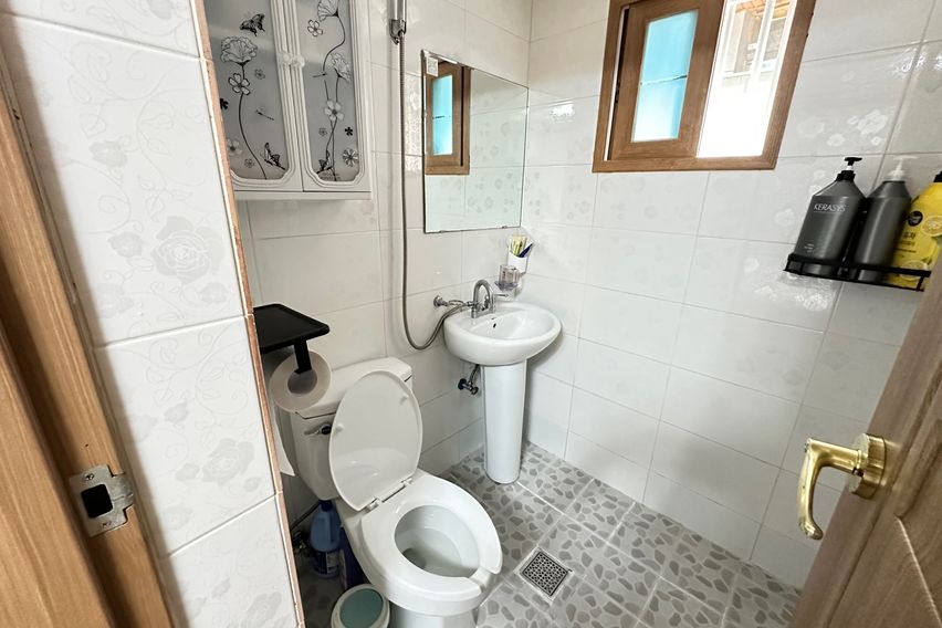 엑스코,경북대 101