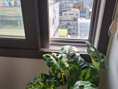 💕고품격편안한방🫠 9번째 이미지