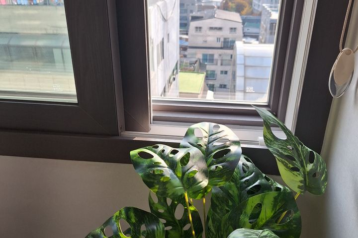 💕고품격편안한방🫠 9번째 이미지